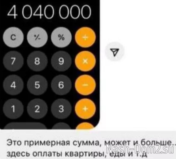 За год отношений Милена Безбородова потратила на бойфренда 4 миллиона рублей