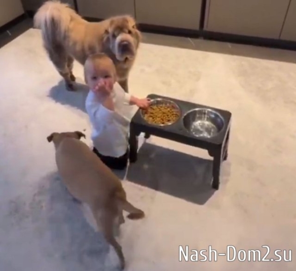 Ольга Орлова показала, как её дочь ест собачью еду