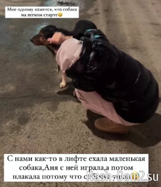 Максим Евстропов: Причуды беременных