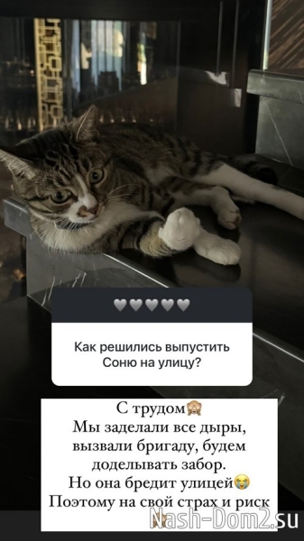 Ольга Орлова: Я стараюсь себя контролировать