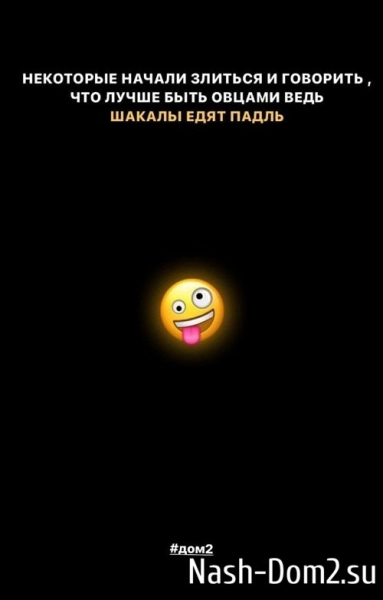 Дарья Кайндли: Вы слишком слабы для шакалов