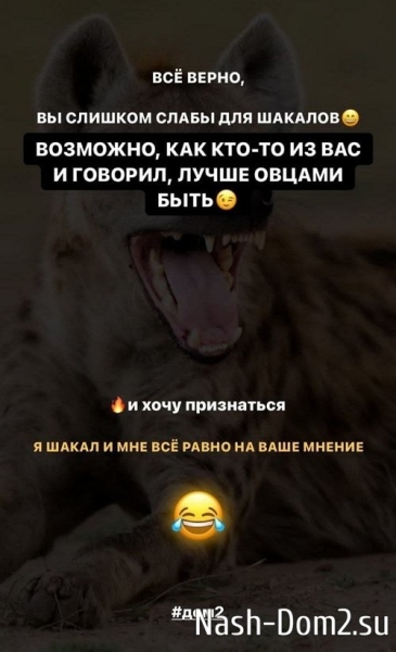 Дарья Кайндли: Вы слишком слабы для шакалов