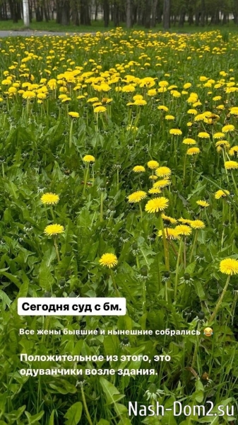 Ольга Жарикова: Он уменьшает алименты...