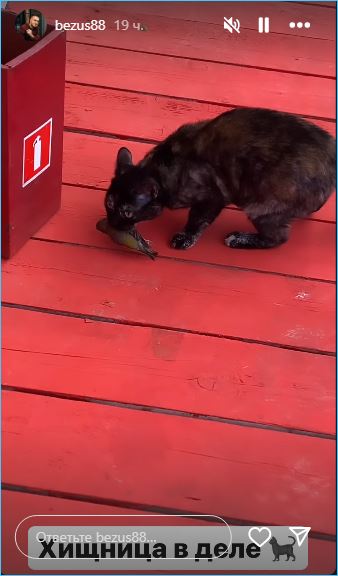 Алексей Безус знакомится с ситуацией в Армении Алексей Безус знакомится с ситуацией в Армении