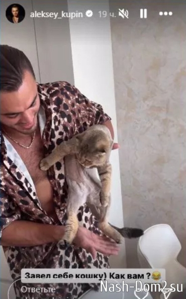 Ожидая развода, Купин завёл себе кошку Ожидая развода, Купин завёл себе кошку