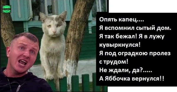 Приколы Дом-2 (23.06.2024) Приколы Дом-2 (23.06.2024)