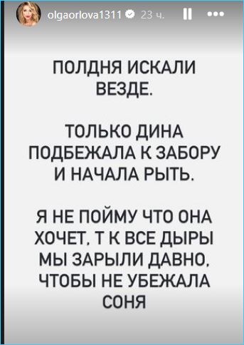 Чрезвычайное происшествие в доме Ольги Орловой