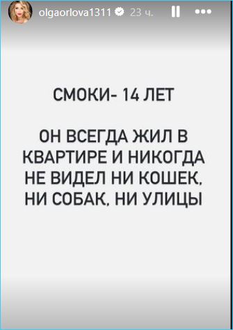 Чрезвычайное происшествие в доме Ольги Орловой