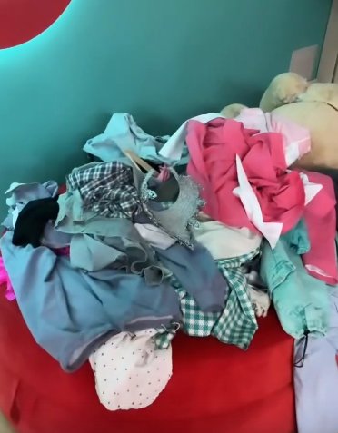 Элину Рахимову обворовали цыгане