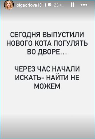 Чрезвычайное происшествие в доме Ольги Орловой