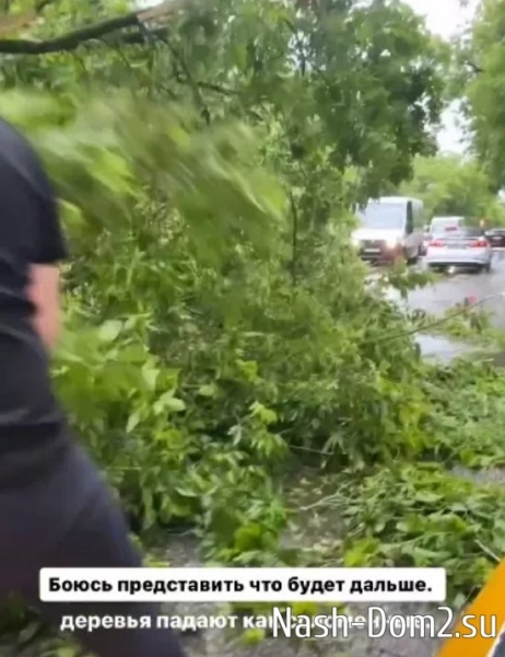 Черно поведала о результатах договорённостей с бывшим мужем Черно поведала о результатах договорённостей с бывшим мужем