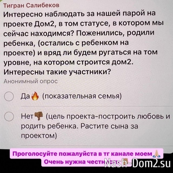 Салибековым пора домой, раз у них не будет скандалов?