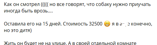 "Расстались с моим любимым пончиком" - Лиза Полыгалова отдала собаку на передержку "Расстались с моим любимым пончиком" - Лиза Полыгалова отдала собаку на передержку
