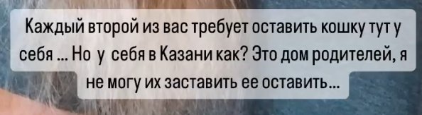 Надежда Ермакова не сможет оставить у себя спасенную кошку-инвалида