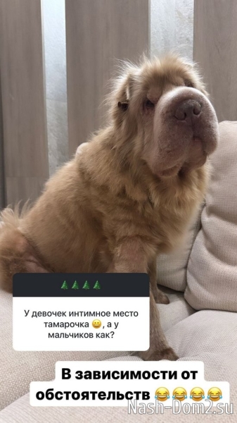 Ольга Орлова: Даже не собираюсь вас переубеждать!
