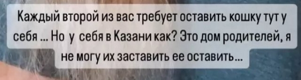 Чистовы не могут оставить себе спасённую кошку-инвалида Чистовы не могут оставить себе спасённую кошку-инвалида