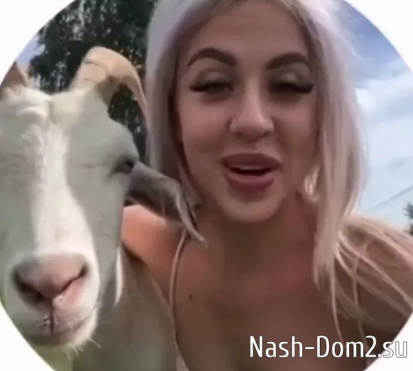 Кенели продолжает хайповать на близкой дружбе с козой Кенели продолжает хайповать на близкой дружбе с козой