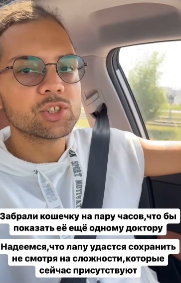 Надежде Ермаковой для спасения кошки нужно 150 тысяч рублей Надежде Ермаковой для спасения кошки нужно 150 тысяч рублей