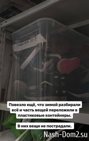 Ольга Гажиенко: Все мои вещи в плесени Ольга Гажиенко: Все мои вещи в плесени