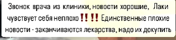Надежда Ермакова не сможет оставить у себя спасенную кошку-инвалида