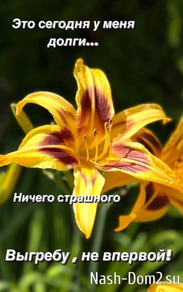 Юлия Колисниченко: Я доведу дело до конца Юлия Колисниченко: Я доведу дело до конца