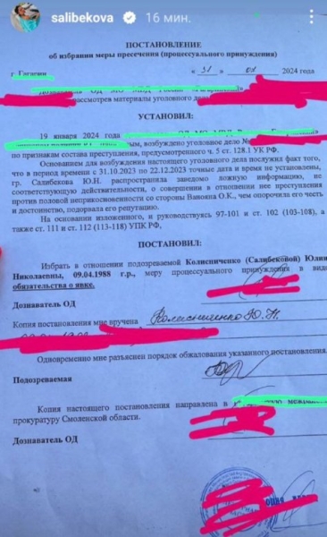 Юлия Колисниченко была на дознании в СК города Гагарина Юлия Колисниченко была на дознании в СК города Гагарина