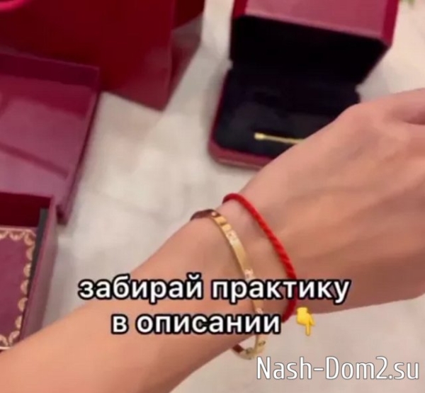 Пингвинова создала свой курс счастливой жизни