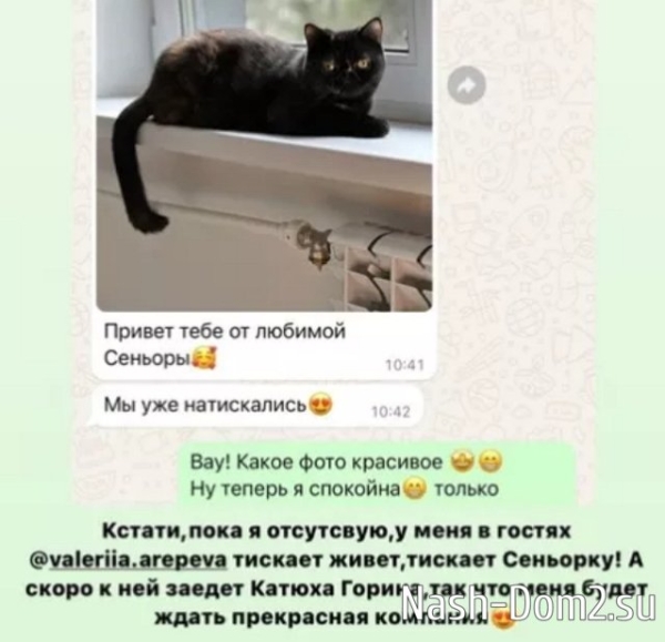 Горина скрывается у Алёны Опенченко?
