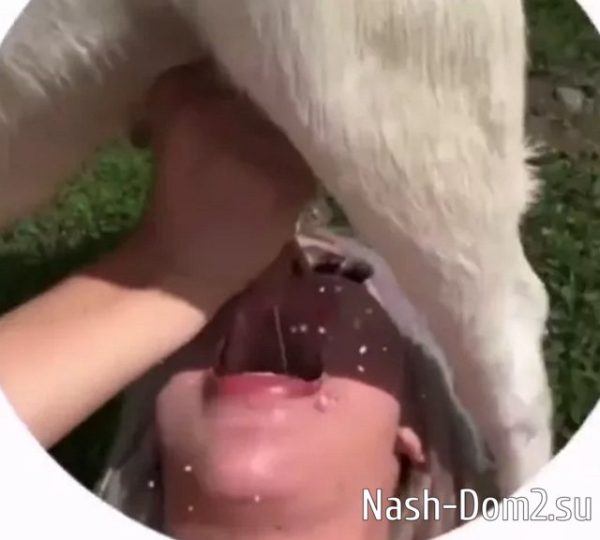 Кенели продолжает хайповать на близкой дружбе с козой Кенели продолжает хайповать на близкой дружбе с козой