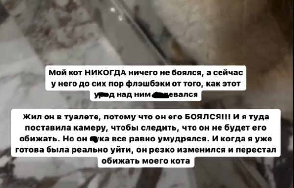 "Лгал и издевался над котом" - Милена Безбородова пожелала бывшему парню сгнить в тюрьме "Лгал и издевался над котом" - Милена Безбородова пожелала бывшему парню сгнить в тюрьме