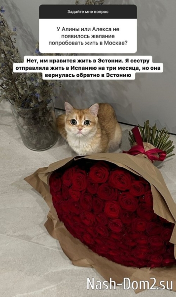 Милена Безбородова: Мы никогда не росли в любви