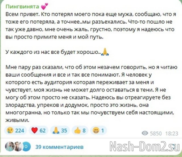 Ирина Пингвинова: Жизнь-река, я плыву