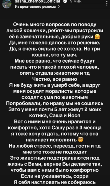 Александра Черно объяснила, почему отдала знакомым кошку Чудо Александра Черно объяснила, почему отдала знакомым кошку Чудо