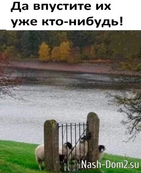Мнение о последних проектных событиях (14.08.2024)
