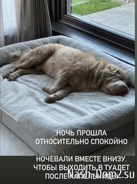 Ольга Орлова: Я за день постарела лет на 100 Ольга Орлова: Я за день постарела лет на 100