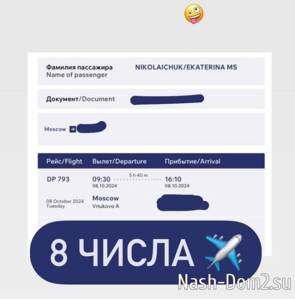 Катя Горина купила билет на самолёт