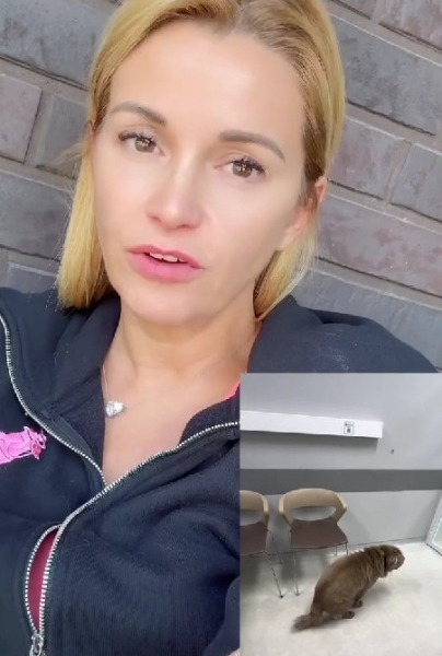 Ольга Орлова объяснила, почему забрала питомца Бруно из стационара Ольга Орлова объяснила, почему забрала питомца Бруно из стационара