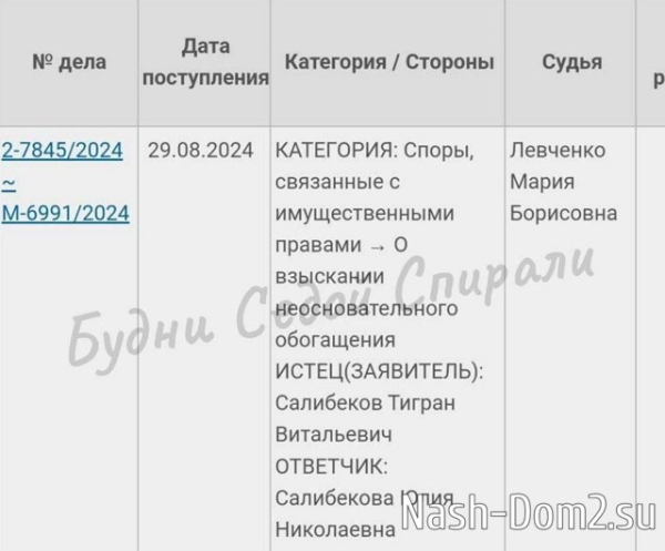Юлия Колисниченко: На меня пишутся заявления
