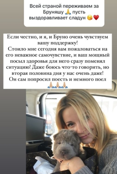Ольга Орлова осталась без сна и отдыха, переживая за питомца Бруно