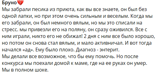 Последние новости дом 2 на сегодня 27 ноября 2024