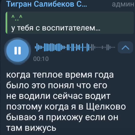 Тигран Салибеков засекретил поездки в детский сад к сыну Баграту