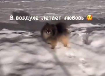 У Нинель Королёвой и Ползова пополнение в паре