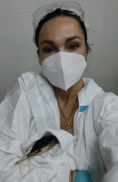Ксения Задойнова стала волонтером и отмывает птиц от мазута на побережье Сочи