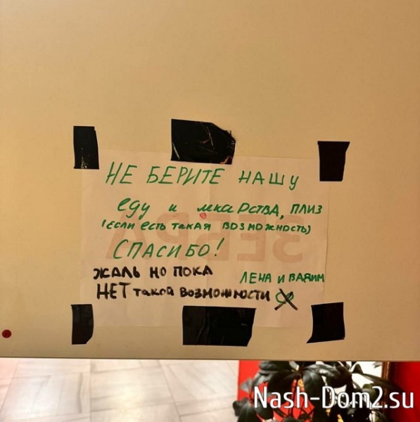 Вор оставляет голодными и больными Ползова и Шлома