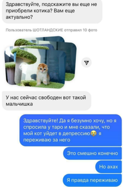 Последние новости дом 2 на сегодня 09 марта 2025
