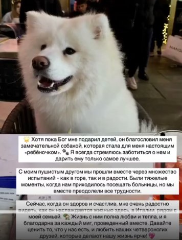 Последние новости дом 2 на сегодня 21 марта 2025