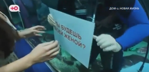 В первом этапе конкурса "Медовый месяц" Григорьев и Хорошев получили по 1 баллу