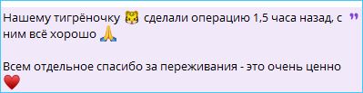 Виктория Салибекова поделилась новостями о здоровье сына Леона