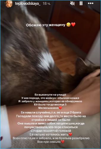 Елена Тепловодская приехала за вещами на поляну Дома 2, в Сочи рыдает Яббаров