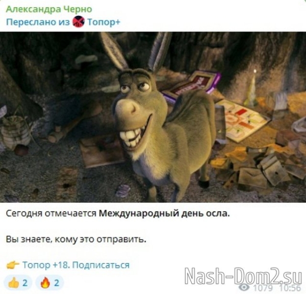 Александра Черно троллит бывшего мужа, намекая, что он осёл